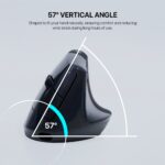 Fantech W195R  GO Comfy Mouse Vertical Ergonomic Design Wireless & Bluetooth Connection Compact Mouse - Image 3
